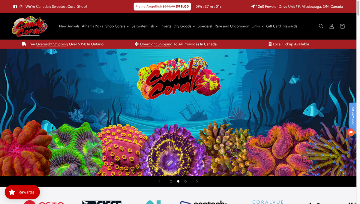 Candy Corals