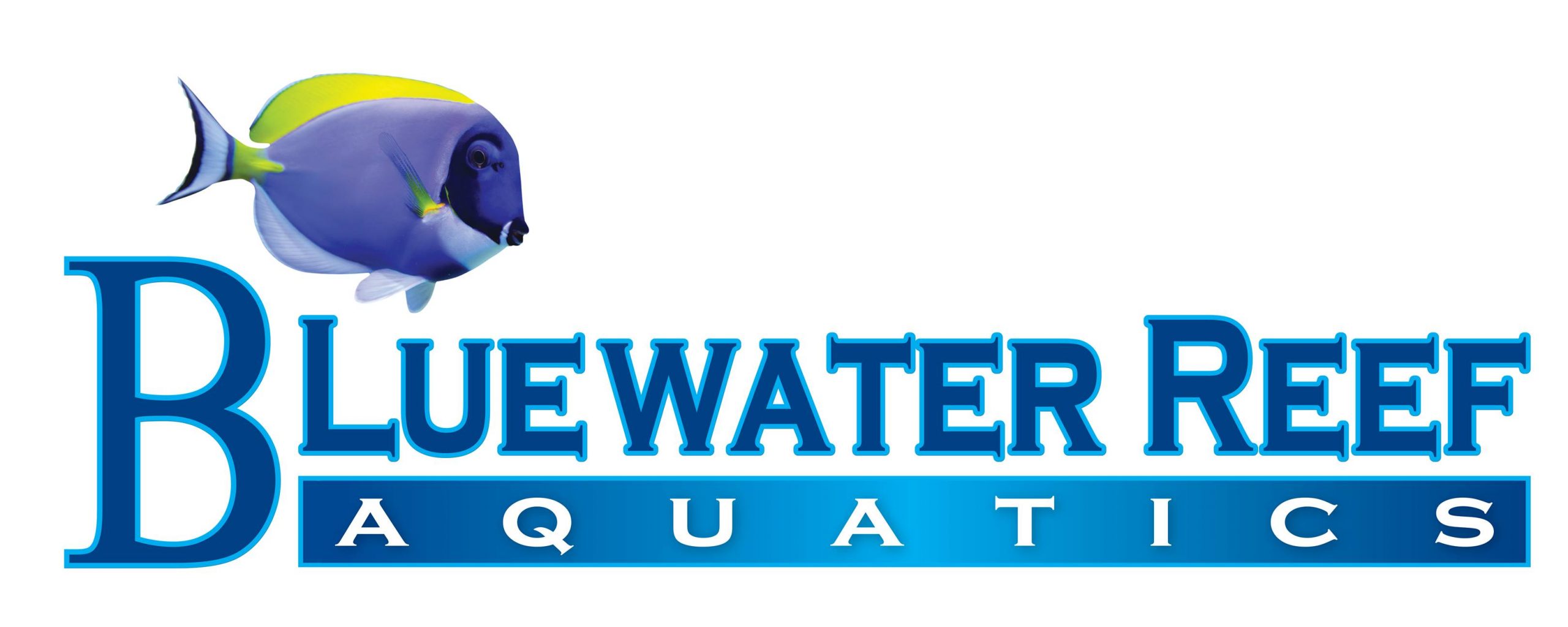 Bluewater Reef Aquatics