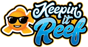 Keepin It Reef
