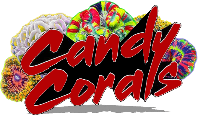 Candy Corals