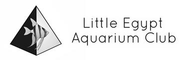 Little Egypt Aquarium Club